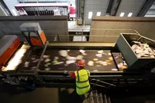 垃圾自动分选，回收垃圾，自动化垃圾分类